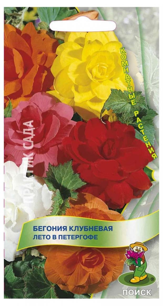 

Семена Бегония Поиск Лето в Петергофе