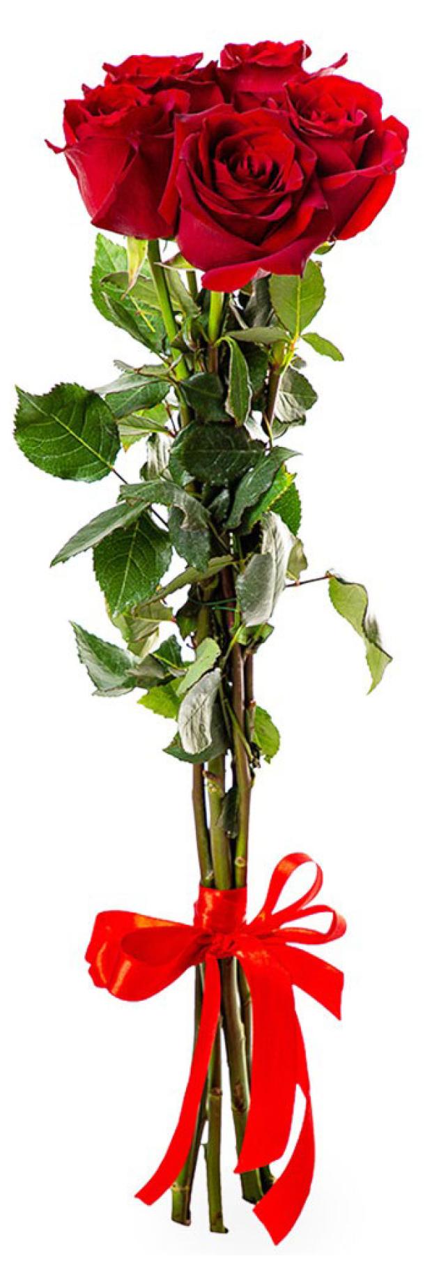 

Букет 8 моно роза, 5 шт, h 40 см