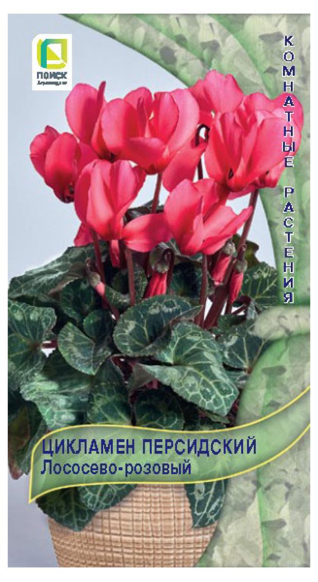 Купить Семена Цикламена Недорого
