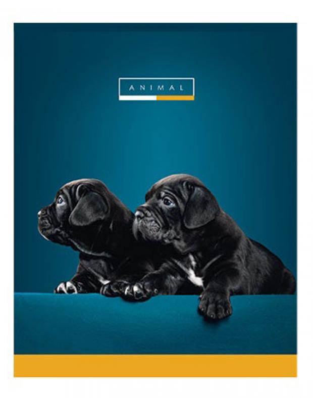 

Тетрадь Greenwich Line Animal в клетку А5, 48 л