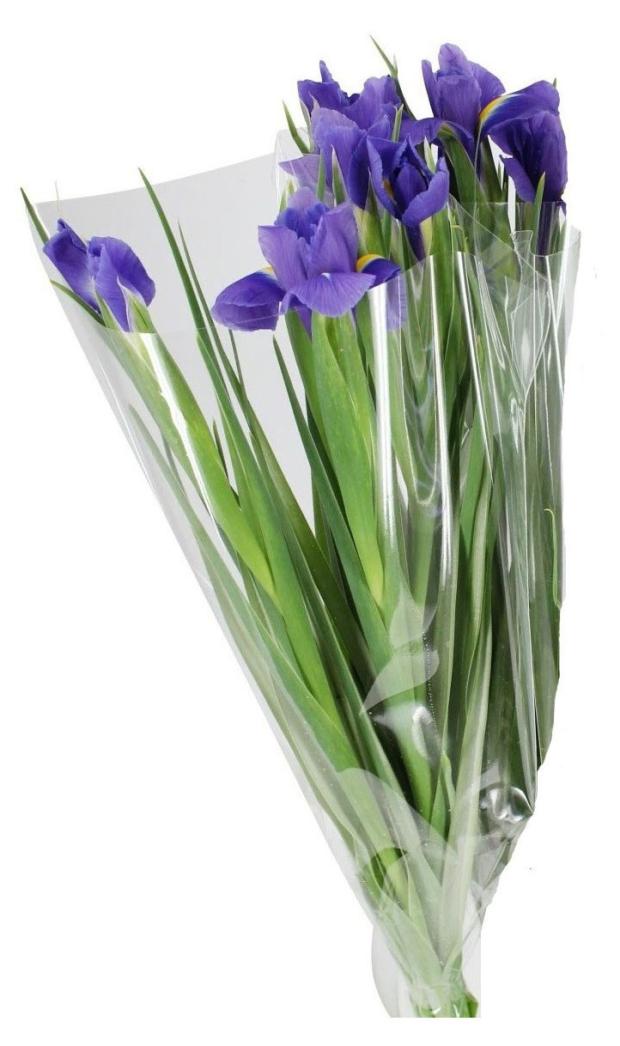 

Букет ирисов ЕИС Логистик h 50 см, 5 шт