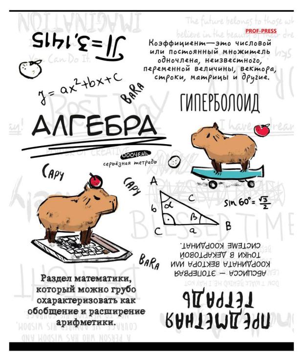 

Тетрадь предметная Prof-Press Капибара Алгебра в клетку А5, 48 л