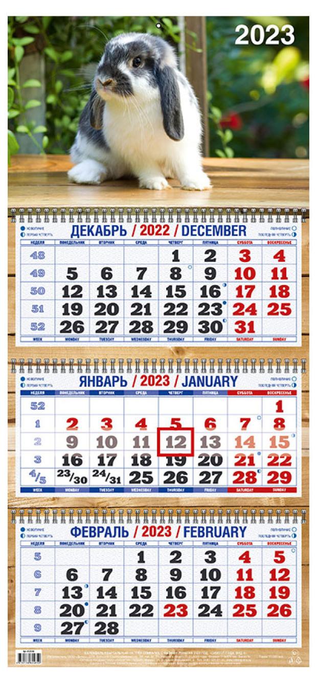 

Календарь настенный 2023 Дитон Символ года Вид 4, 310х680 мм