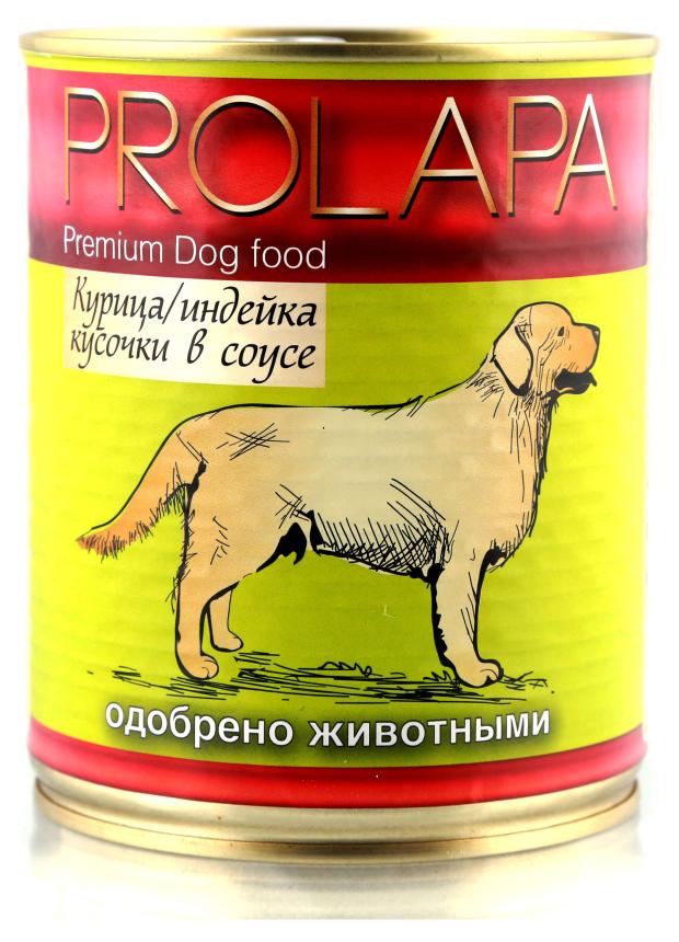 Корм консервированный для собак Prolapa Premium с курицей и индейкой кусочки в соусе, 850 г корм консервированный для собак prolapa premium с курицей и индейкой кусочки в соусе 850 г