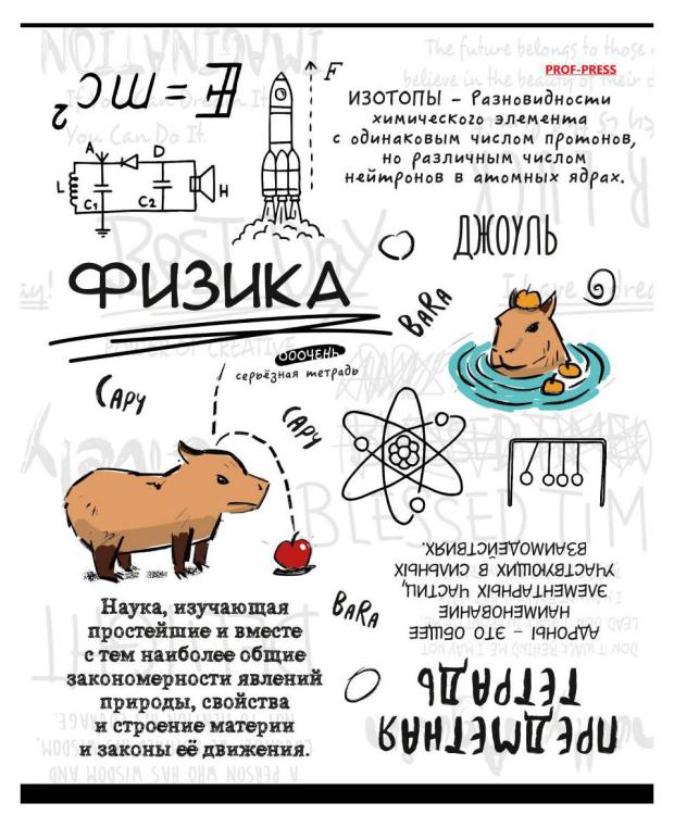 

Тетрадь предметная Prof-Press Капибара Физика в клетку А5, 48 л