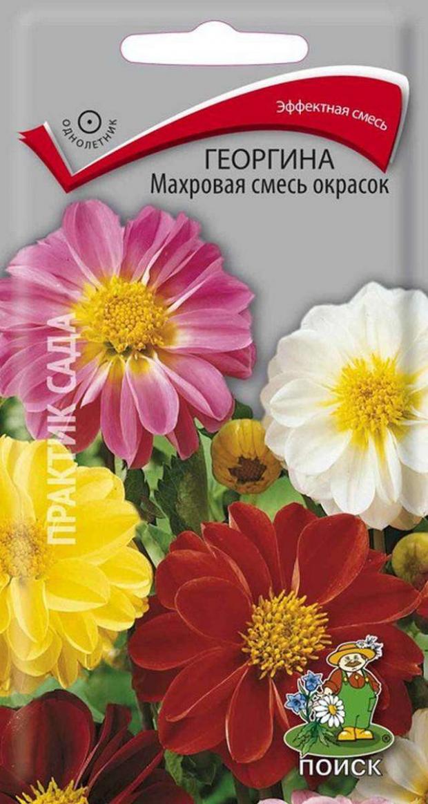 

Семена Георгина «Поиск» Махровая, 3 г