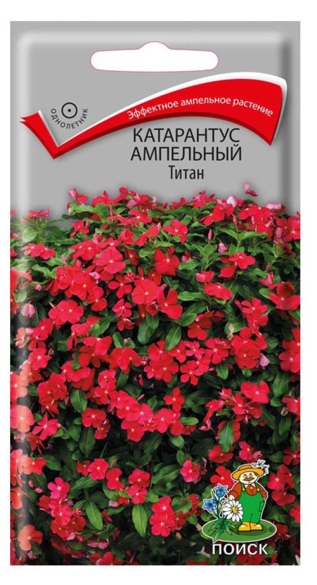 Вайлдберриз Купить Семена Катарантуса