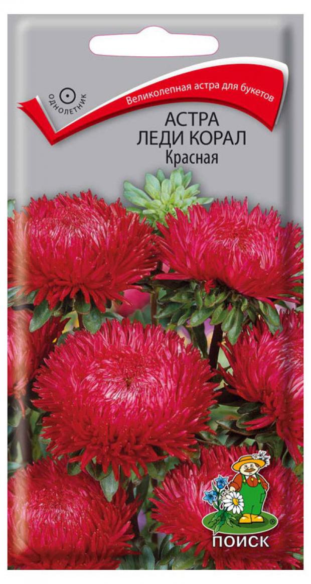 

Семена Астра Поиск Леди корал красная, 1 г