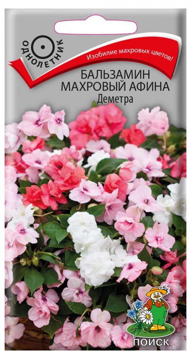 

Семена Бальзамин махровый «Поиск» Афина Деметра, 5 шт