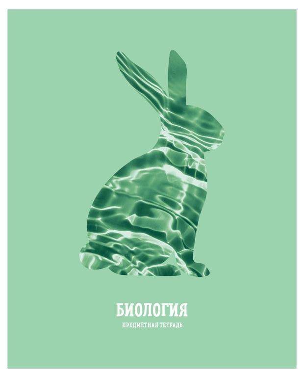 

Тетрадь предметная BG Подсказки Биология клетка А5, 48 л