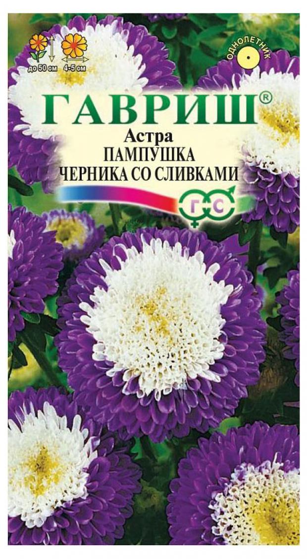 Семена Астра помпонная Гавриш Пампушка черника со сливками однолетняя, 0,3 г семена астра гавриш пампушка черничная 0 3г