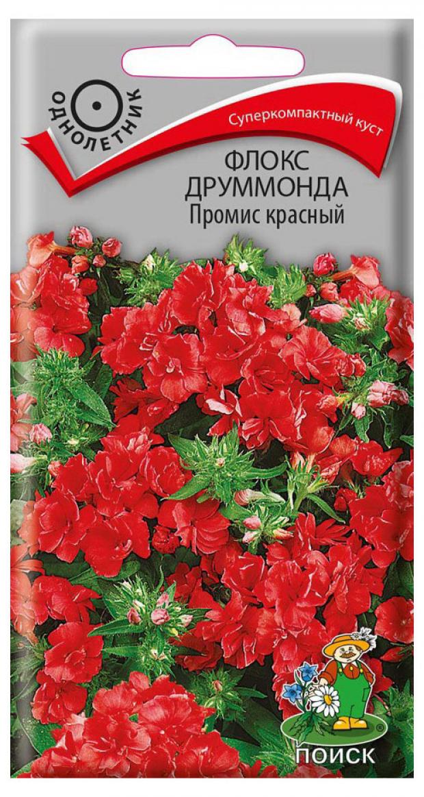 

Семена Флокс Друммонда Поиск Промис красный, 10 шт