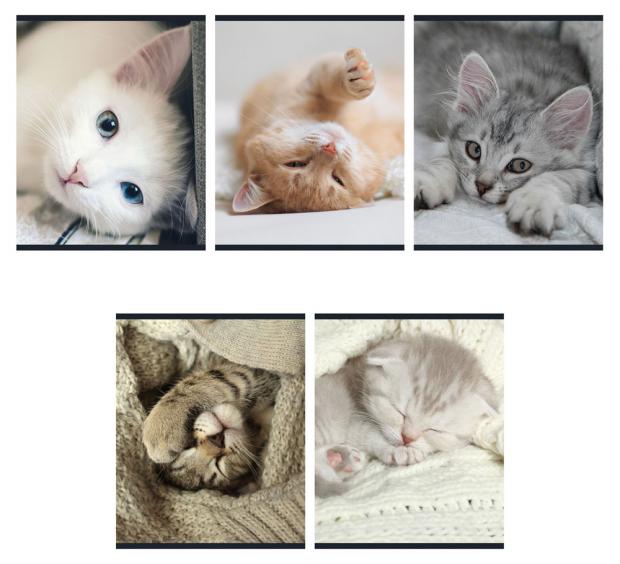 

Тетрадь Academy Style Спящие кошечки А5 в клетку, 96 л