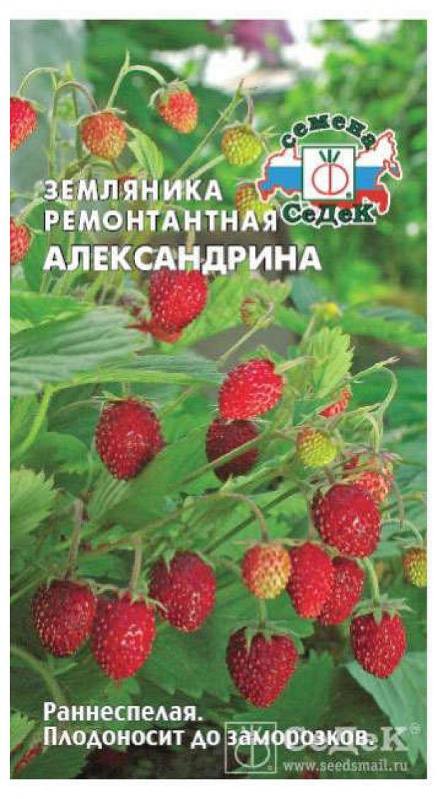 Безусая Земляника Купить Семена