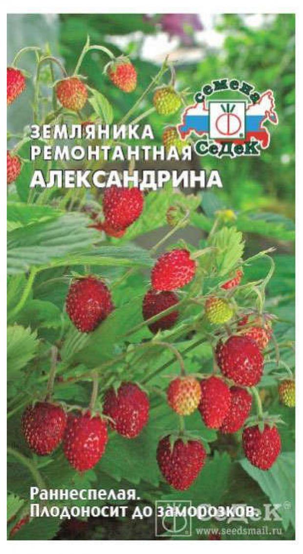 Семена Земляника СеДеК Александрина, 0,04 г семена земляника александрина лидер