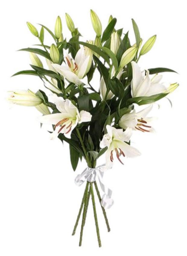 Букет Флобас Лилия h 40 см, 3 шт