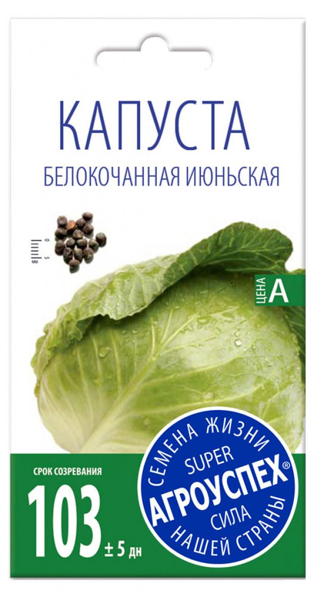 Семена Капуста Агроуспех Июньская белокочанная ранняя, 0,5 г