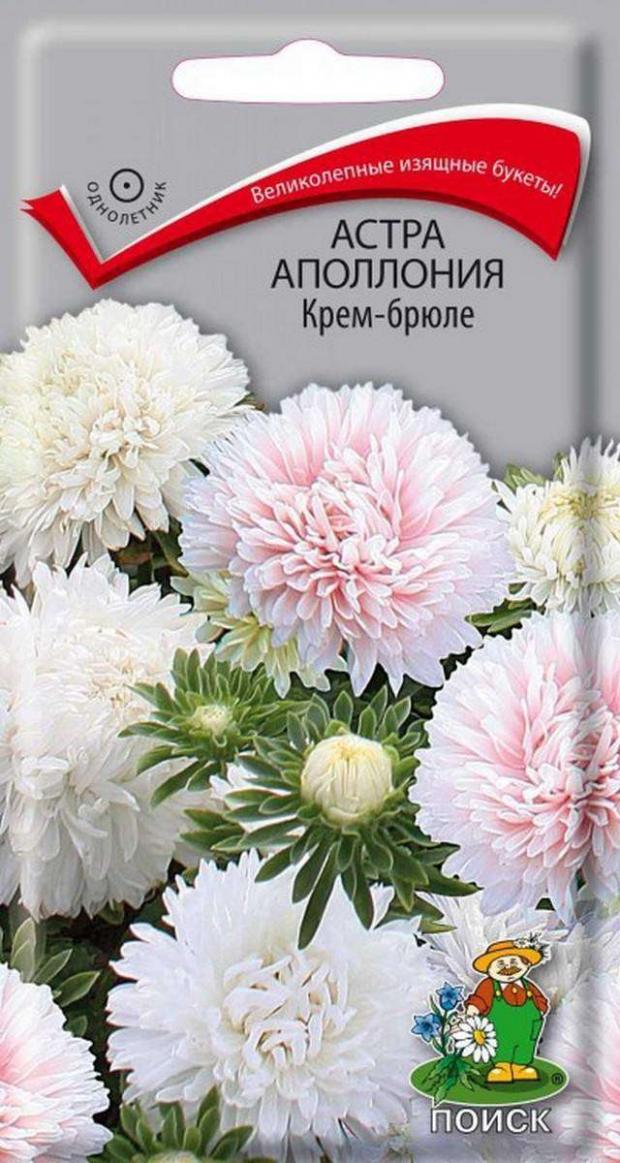Семена Астра Поиск Аполлон крем брюлле, 0.3 г