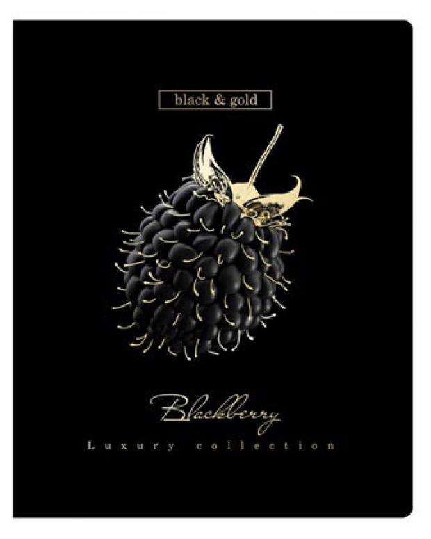 

Тетрадь BG Luxury collection А5 в клетку, 48 л