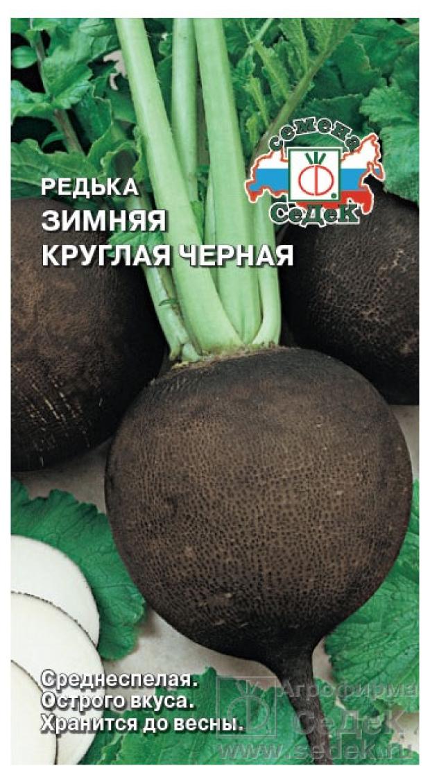 Семена Черной Редьки Купить