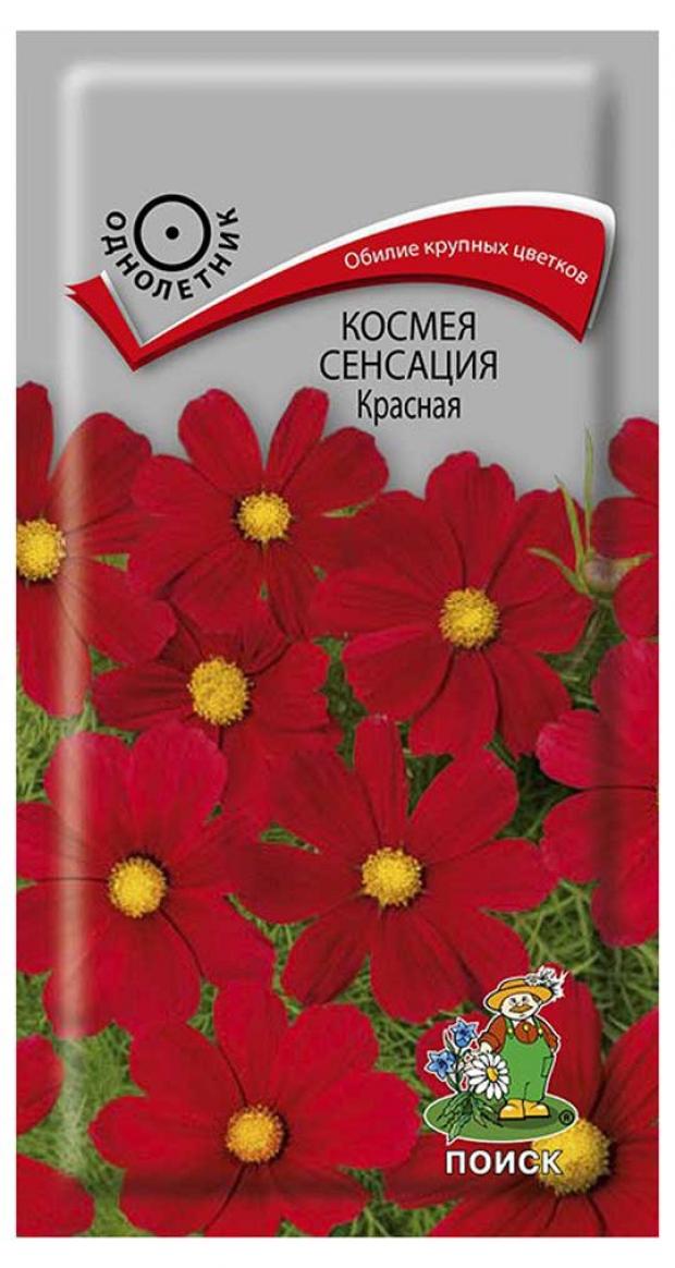 Семена Космея Поиск Сенсация красная, 0,3 г