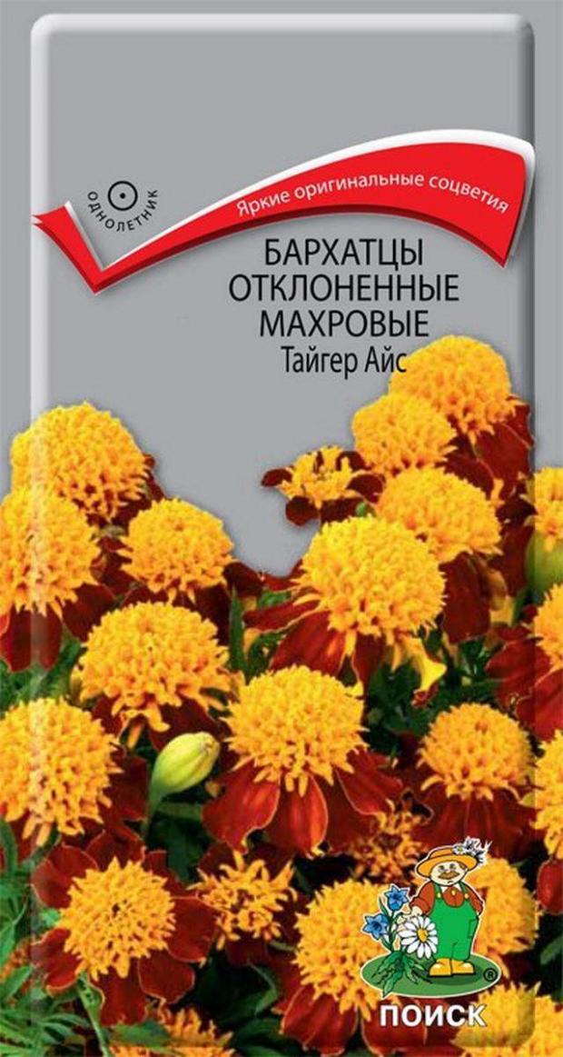 Семена Бархатцы Поиск Тайгер айс, 0,4 г лилия азиатская поиск айс берри 2шт