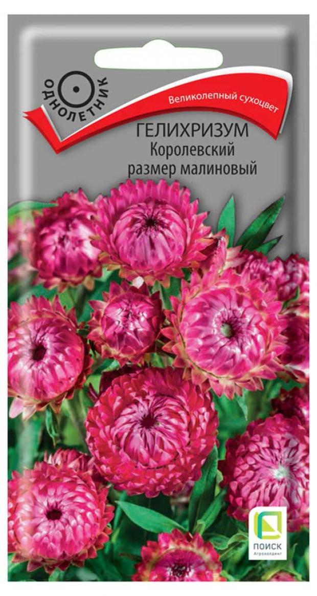 

Семена Гелихризум Поиск Поиск Королевский размер малиновая, 0,1 г