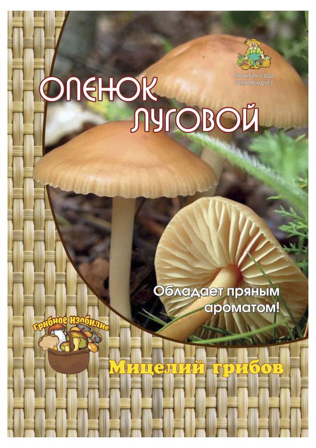 

Мицелий грибов Поиск Опенок Луговой, 12 шт