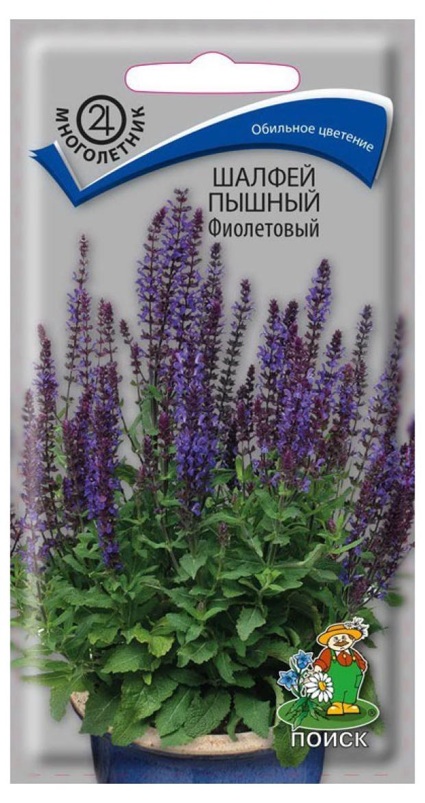 

Семена Шалфей Поиск Пышный фиолетовый, 0,1 г