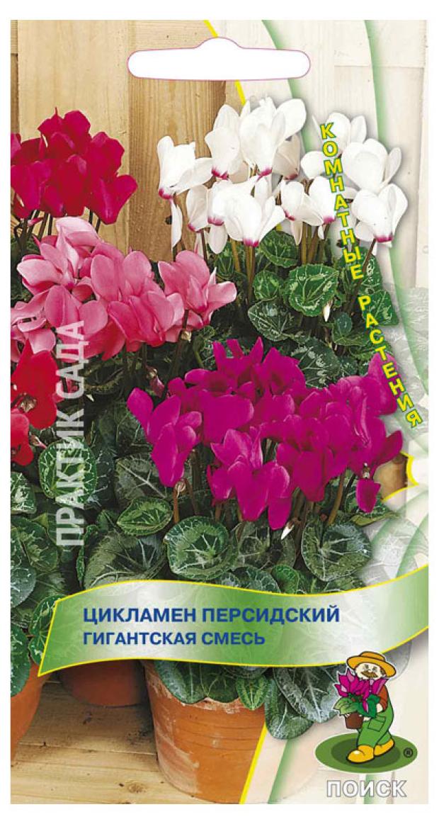 

Семена Поиск Цикламен Персидский Гигантская Смесь, 2 шт