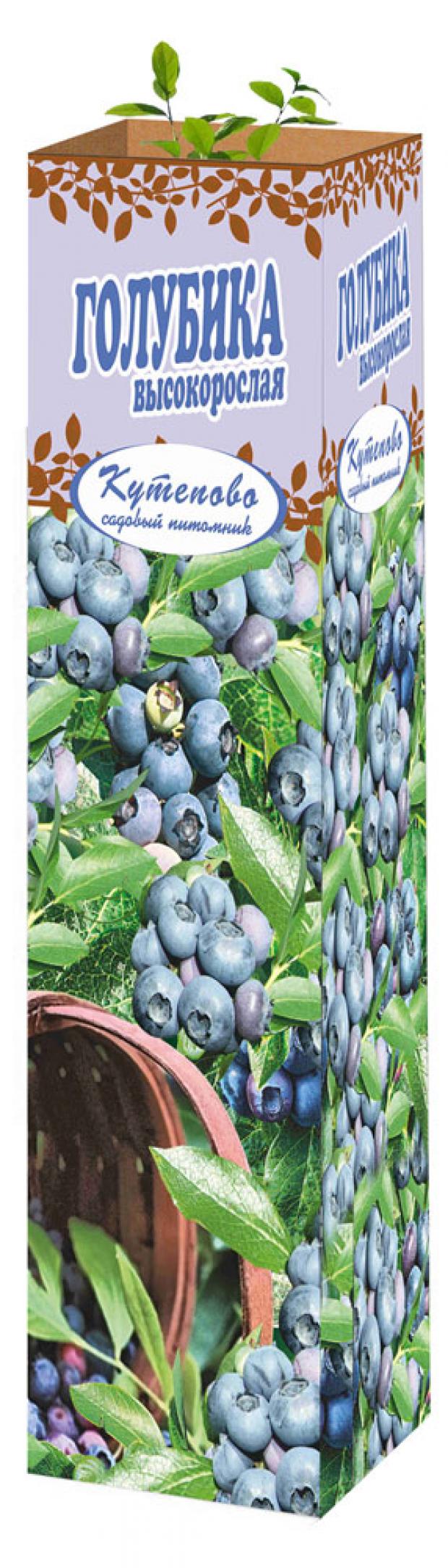 

Саженцы Голубика