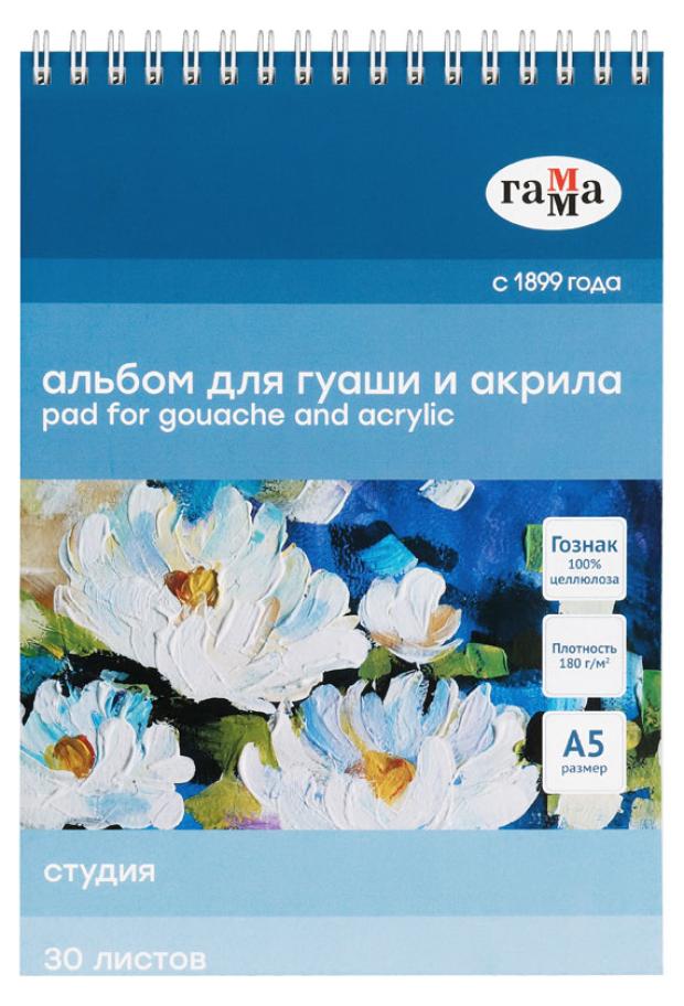 Альбом для гуаши и акрила Гамма Студия А5 на спирали, 30 л