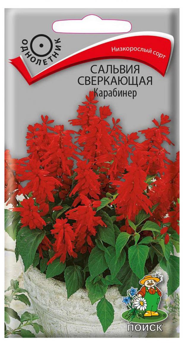 Семена Сальвия Поиск Карабинер, 0,1 г