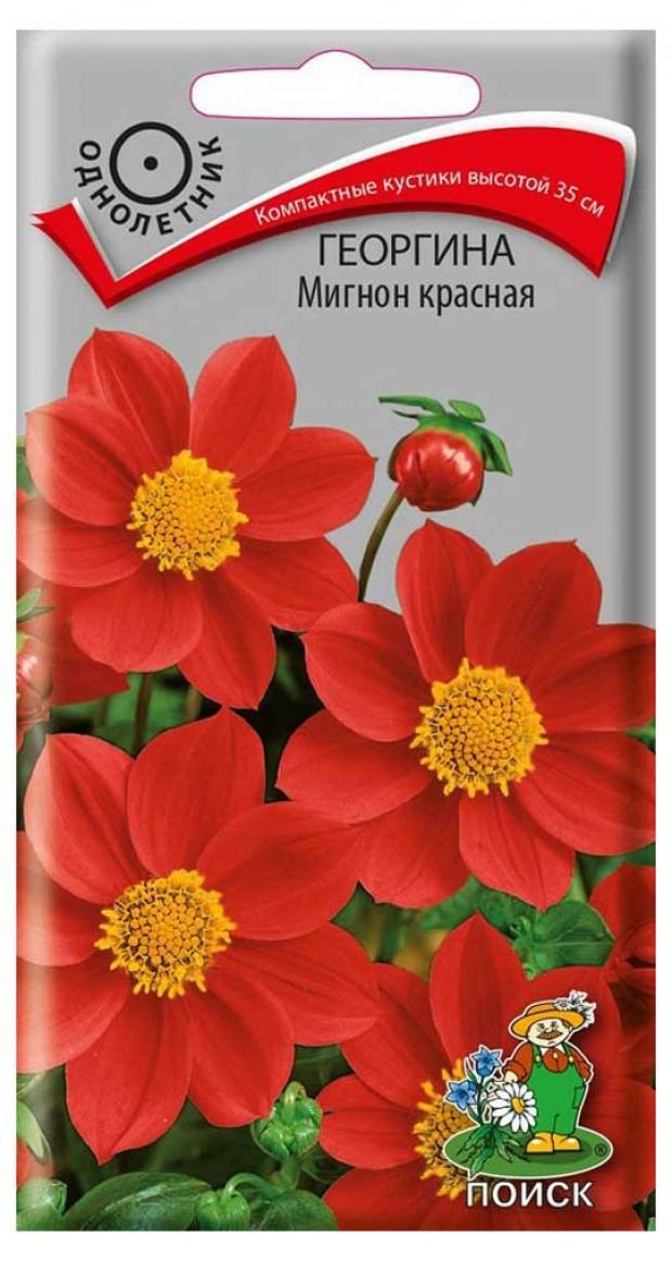

Семена Георгина Поиск Мигнон красная, 0,2 г