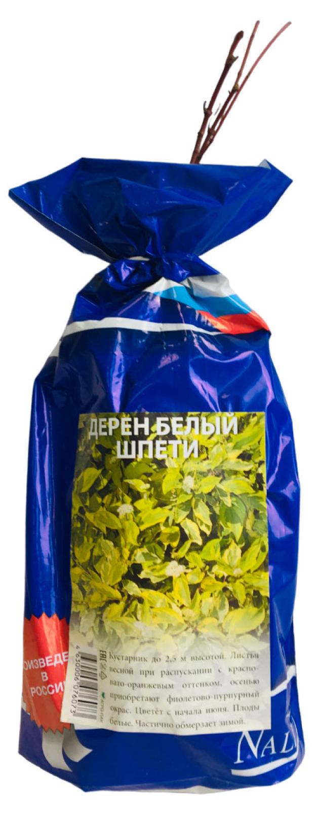 

Дерен Nali Белый Шпети, 40 см