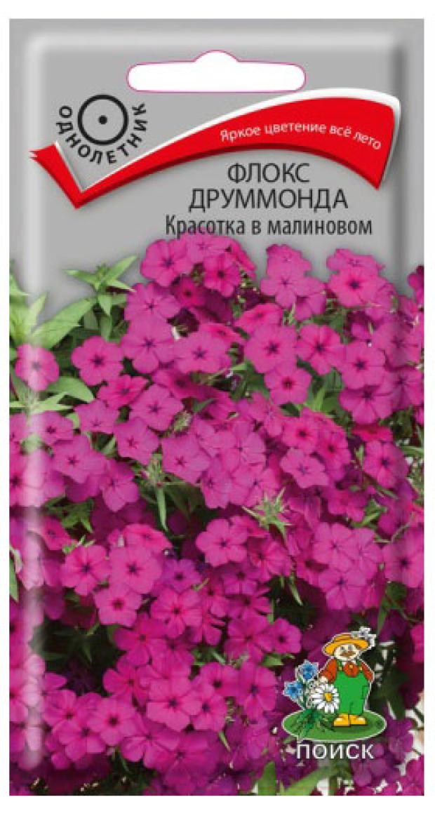 

Семена Посик Флокс друммонда Красотка в малиновом
