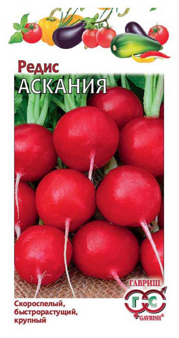 Семена Редис Гавриш Аскания, 2 г семена редис аскания