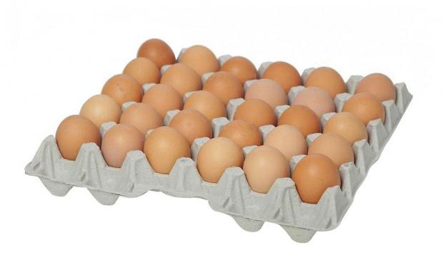 Яйца куриные Иртышское Деревенское С1, 30 шт