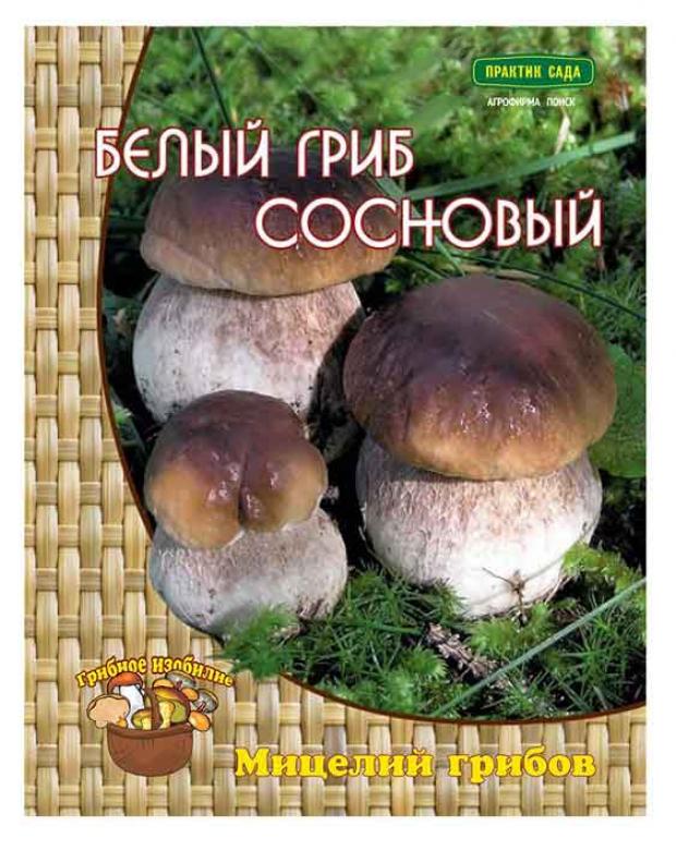 

Мицелий грибов Белый гриб Поиск Сосновый, 60 мл
