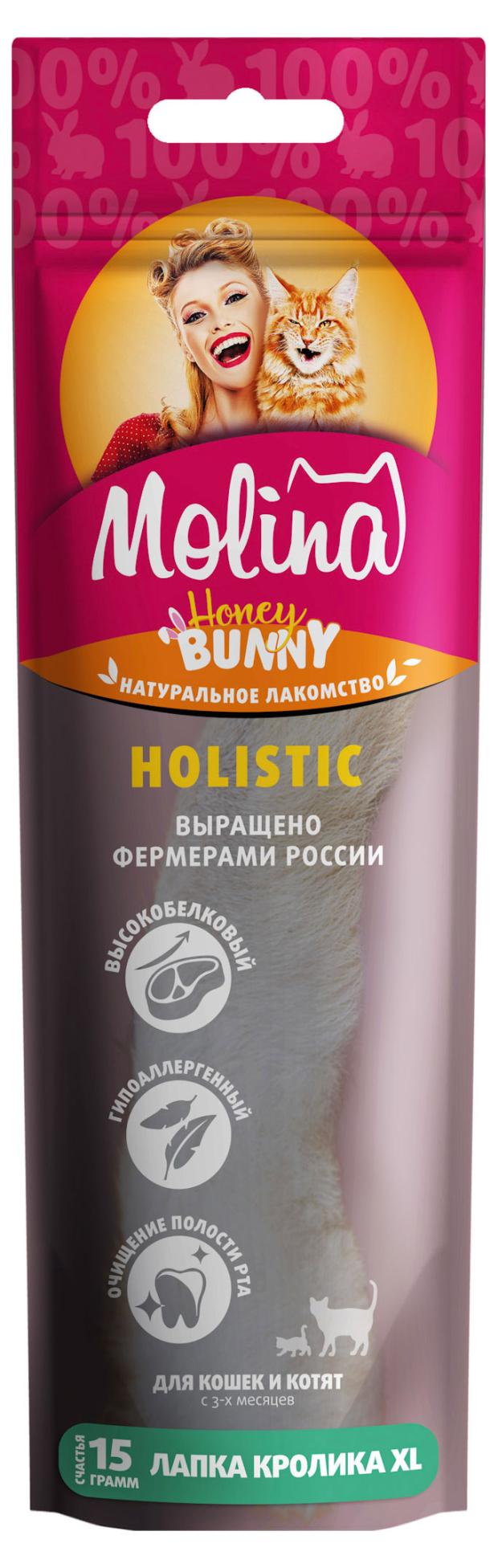 

Игрушка съедобная для кошек Molina Натуральная Holistic Лапка кролика XL, 15 г