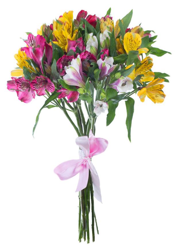 Букет Флобас Альстромерия, 5 шт