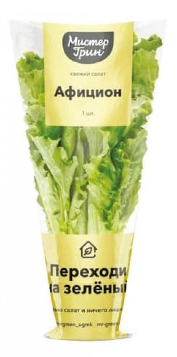 Салат Афицион горшечный, 100 г