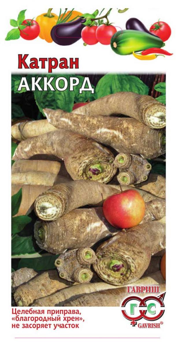

Семена Катран Гавриш Аккорд, 0,5 г