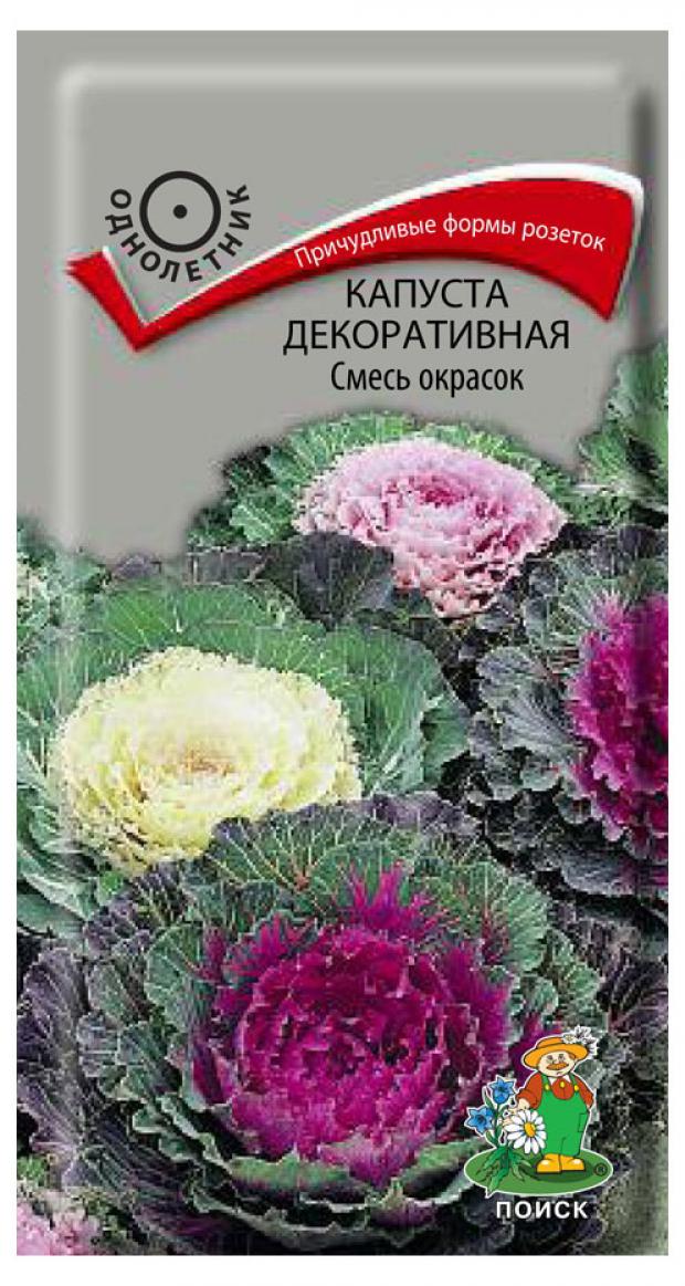 Семена Капуста декоративная Поиск смесь окрасок, 25 г