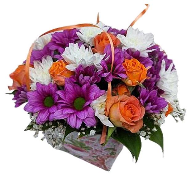 

Композиция Florentika 18 розалия, h 35 см