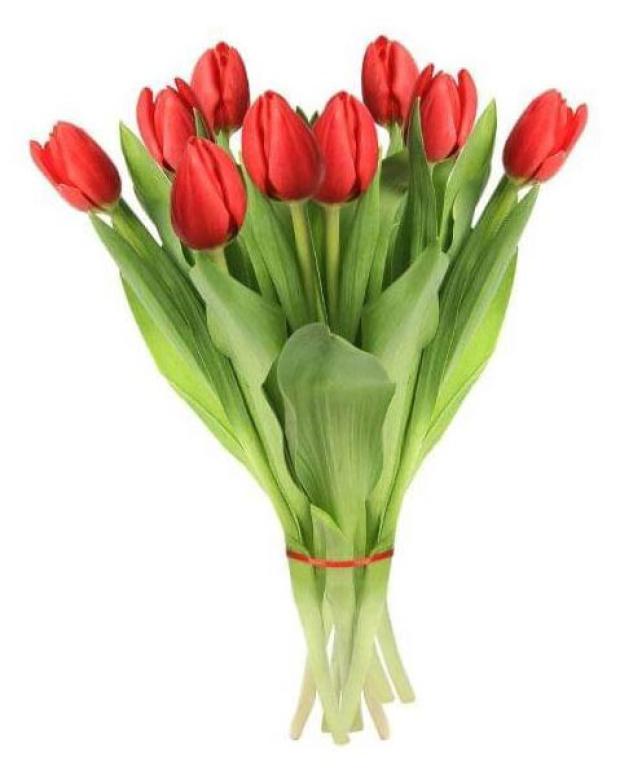 

Букет тюльпанов ЕТК микс, 9 шт