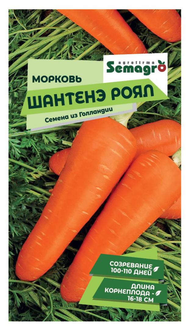 

Семена Seminis Морковь Шантенэ Ро, 0,5 г