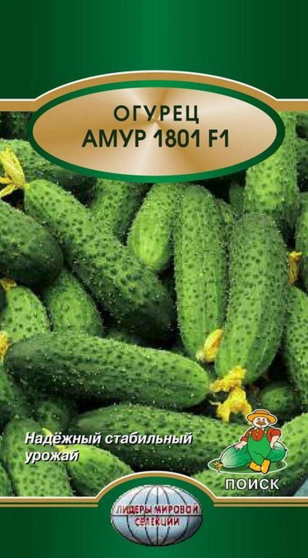 Семена Огурец Поиск Амур, 10 шт