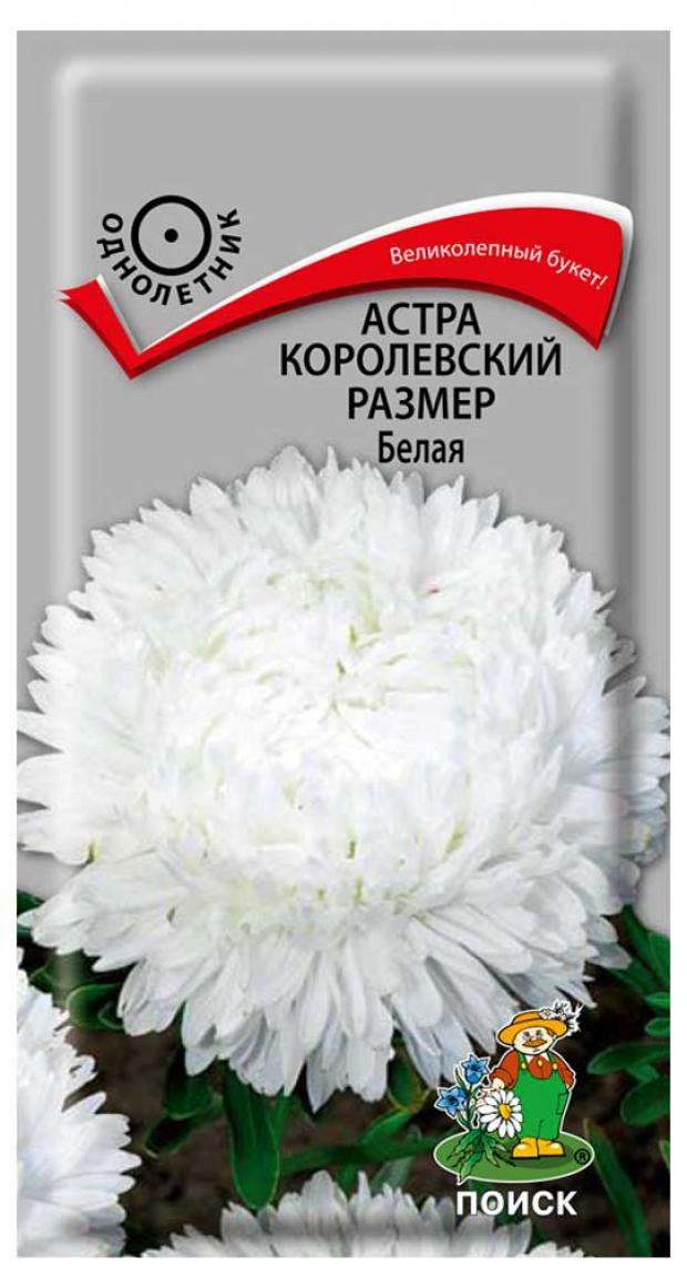 Семена Астра Поиск Королевский размер белая, 0,1 г семена астра поиск балун белая 0 1г