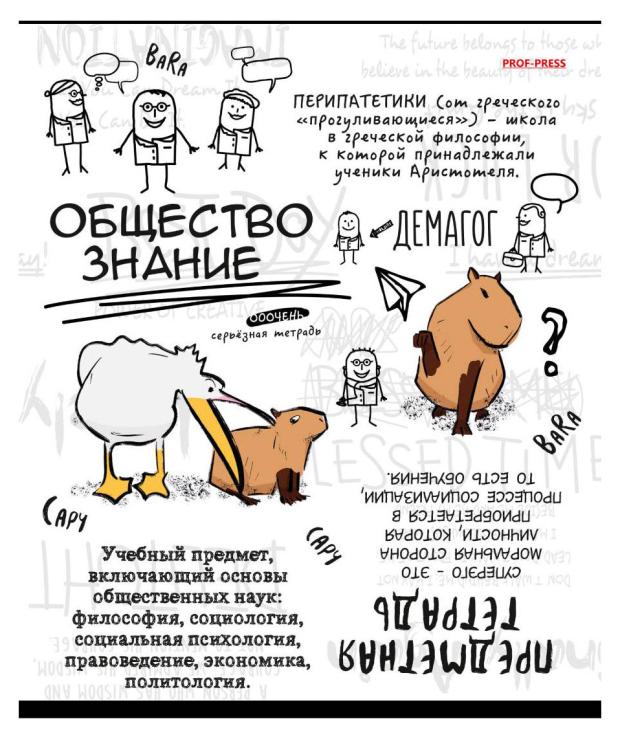 

Тетрадь предметная Prof-Press Капибара Обществознание в клетку А5, 48 л